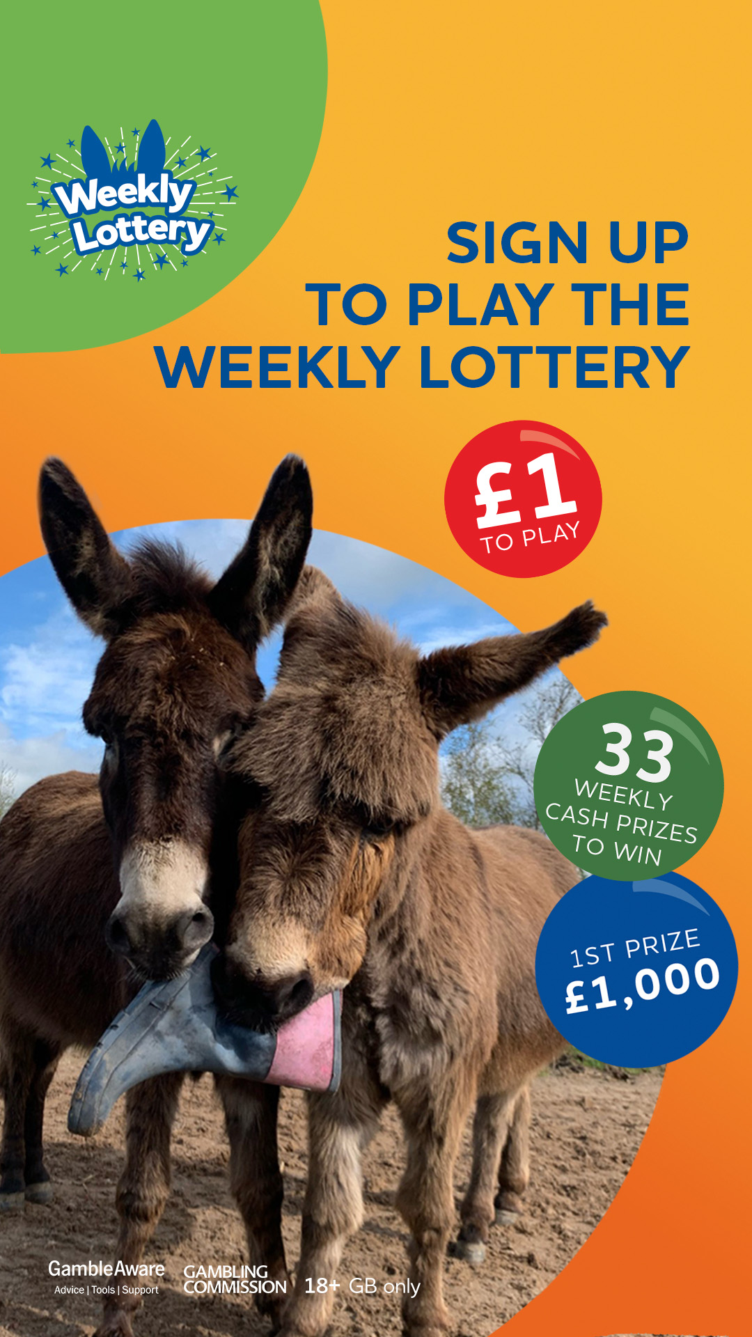 The Donkey Sanctuary Facebook ad