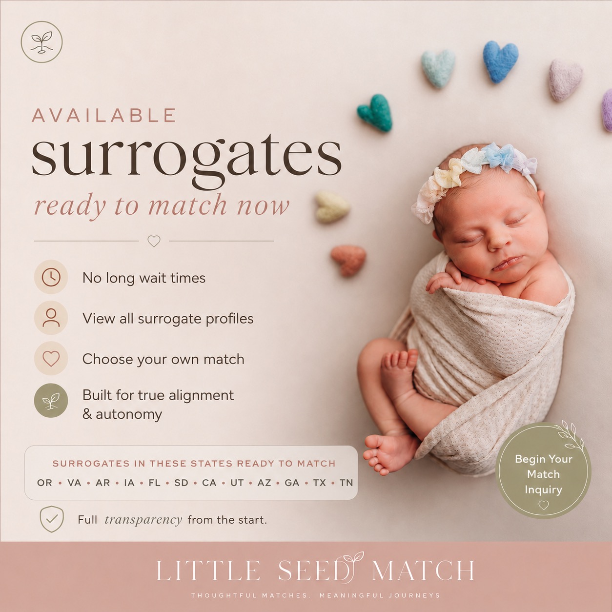 Little Seed Match Facebook ad