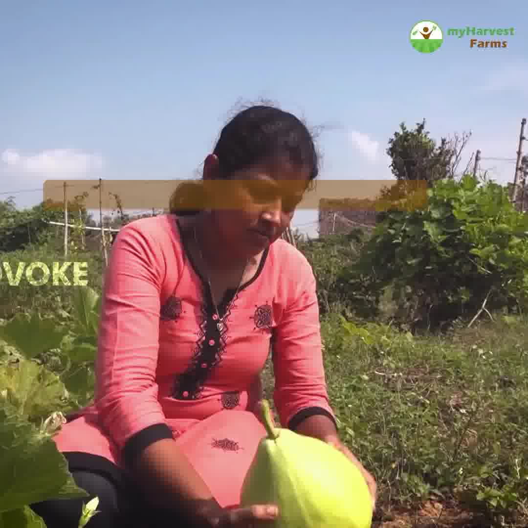 myHarvest Farms Facebook ad from Jan 10, 2026