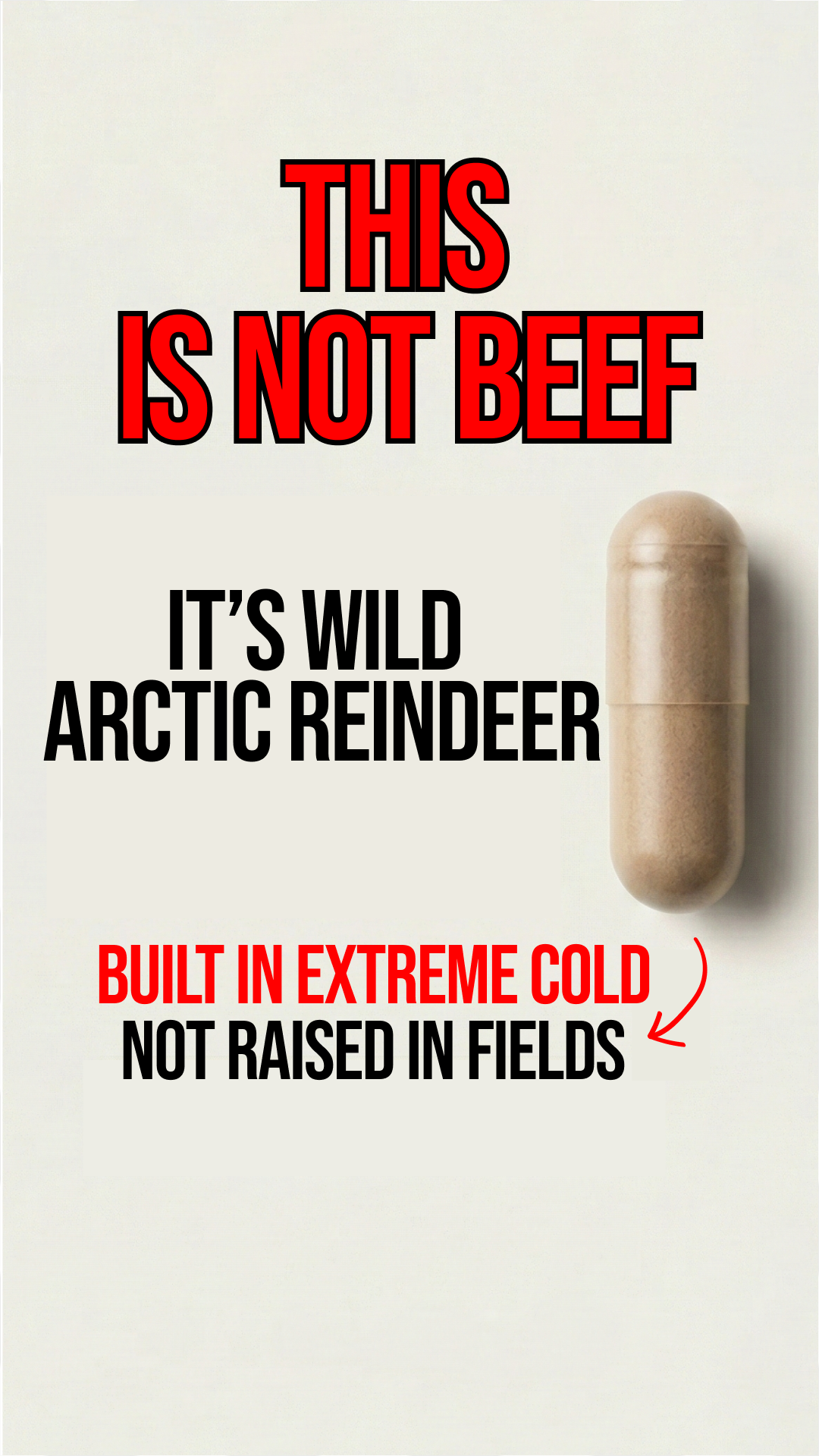 Primal Viking Facebook ad