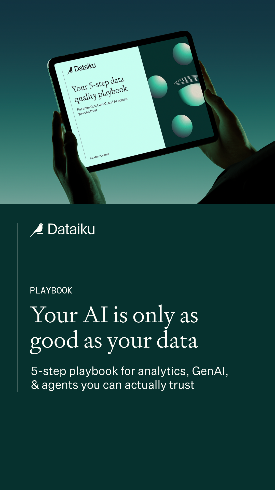 Dataiku Facebook ad