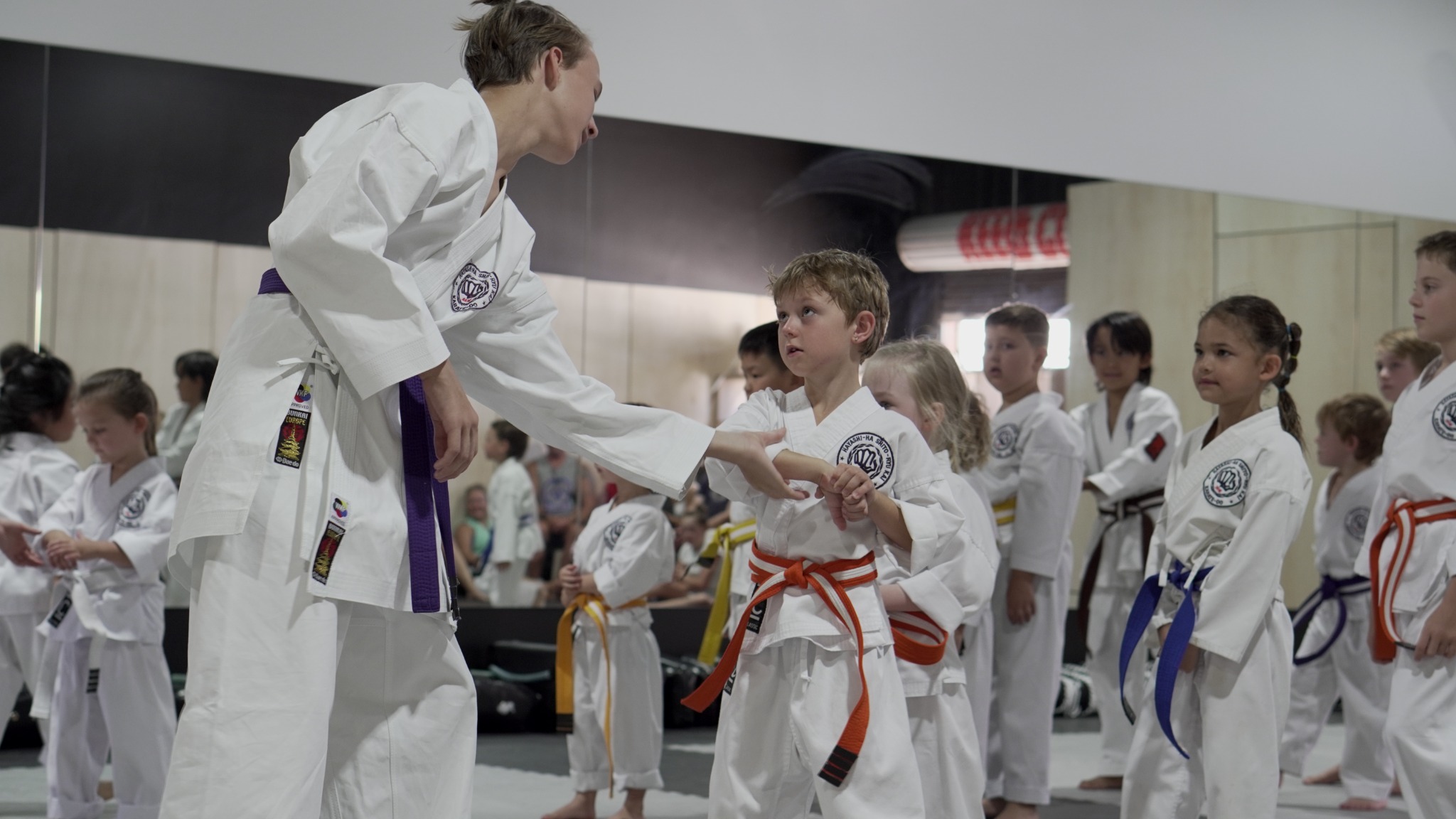 Karate Academy of Power - Hayashiha Queensland Facebook ad
