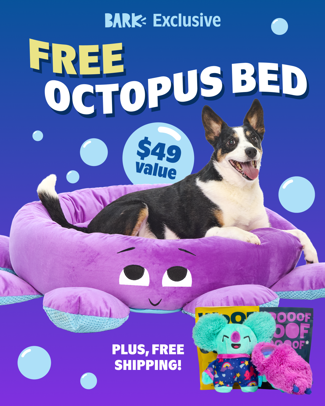 BarkBox Facebook ad
