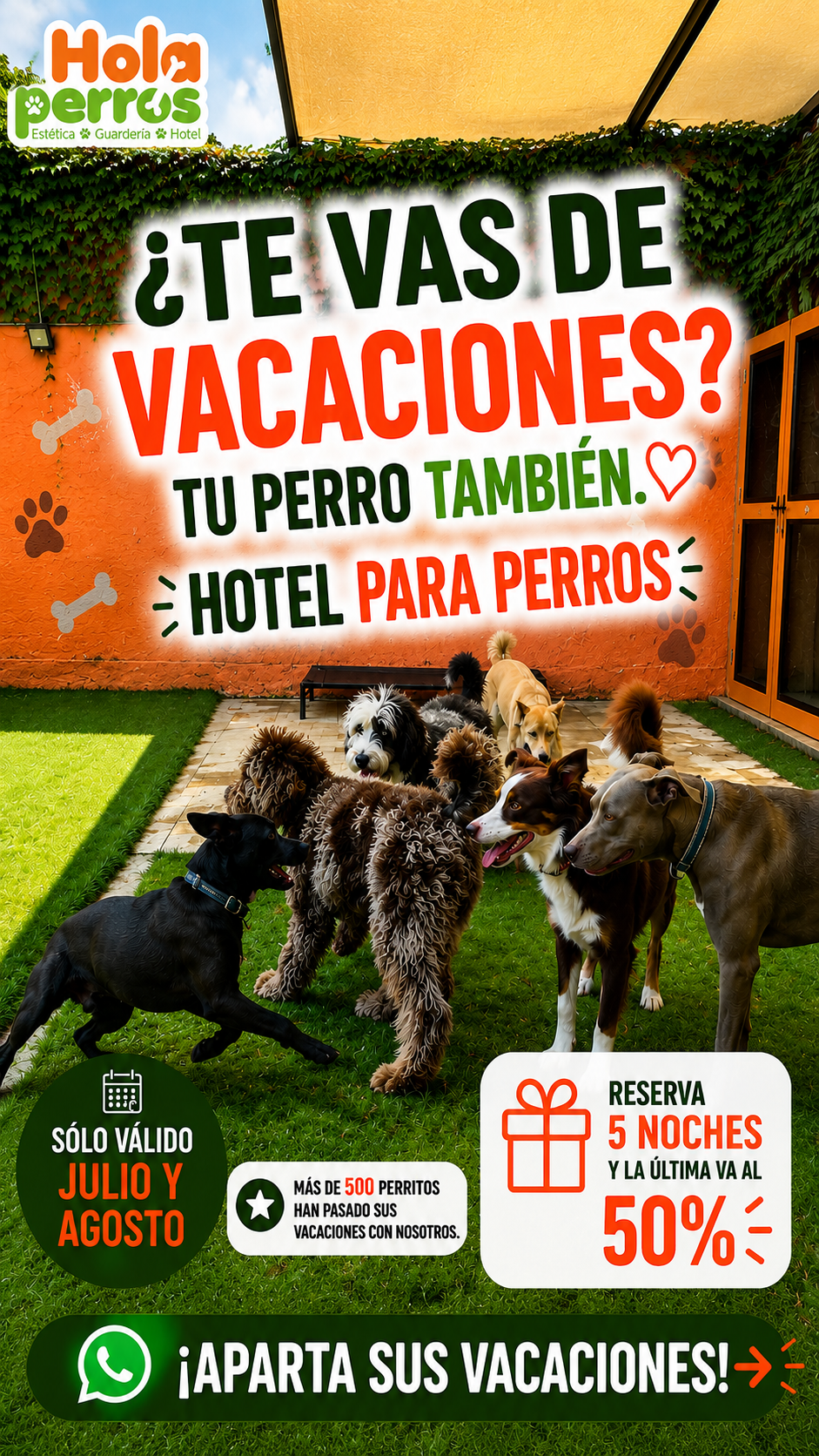 Holaperros.mx Facebook ad