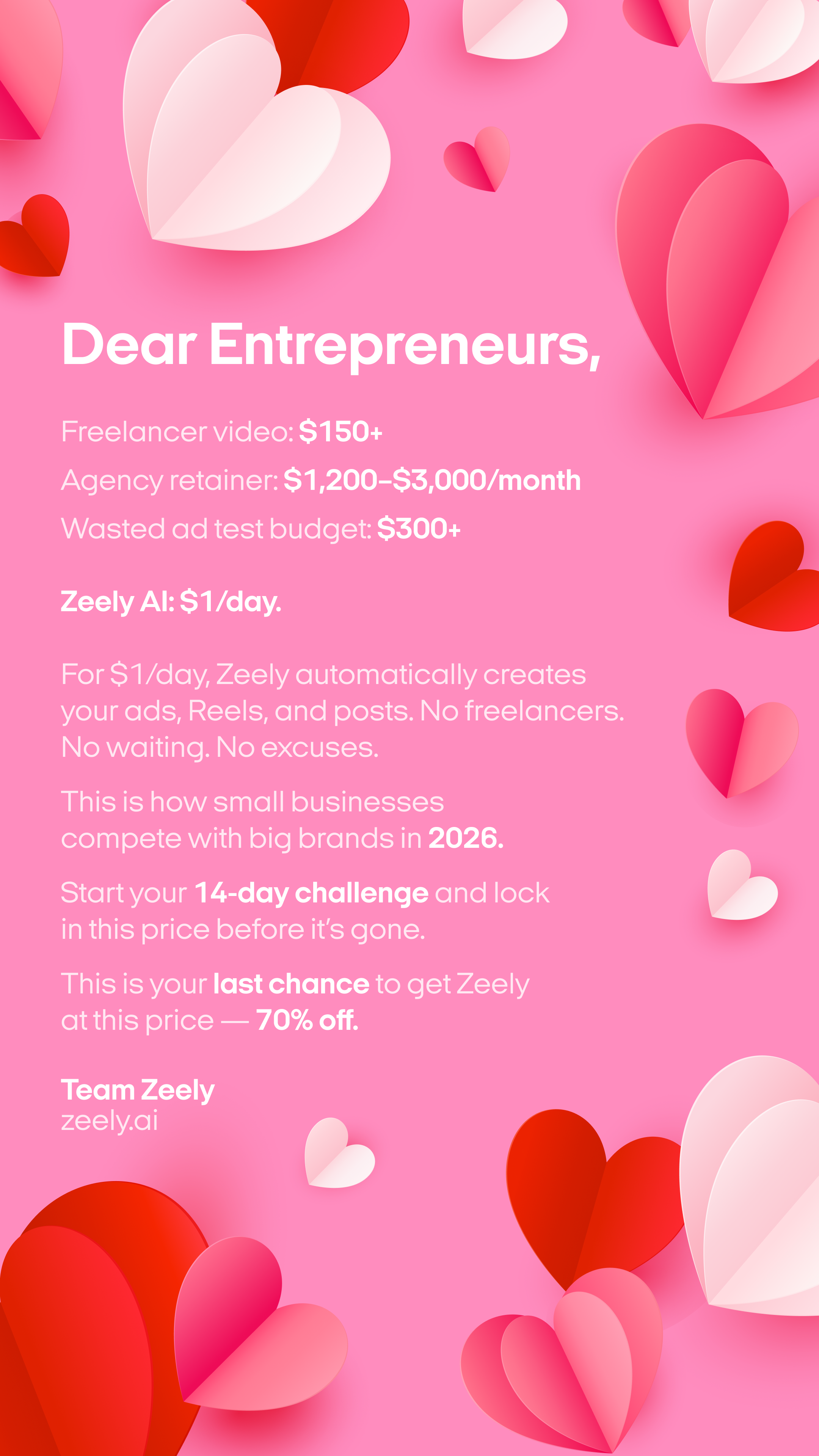 Zeely Facebook ad