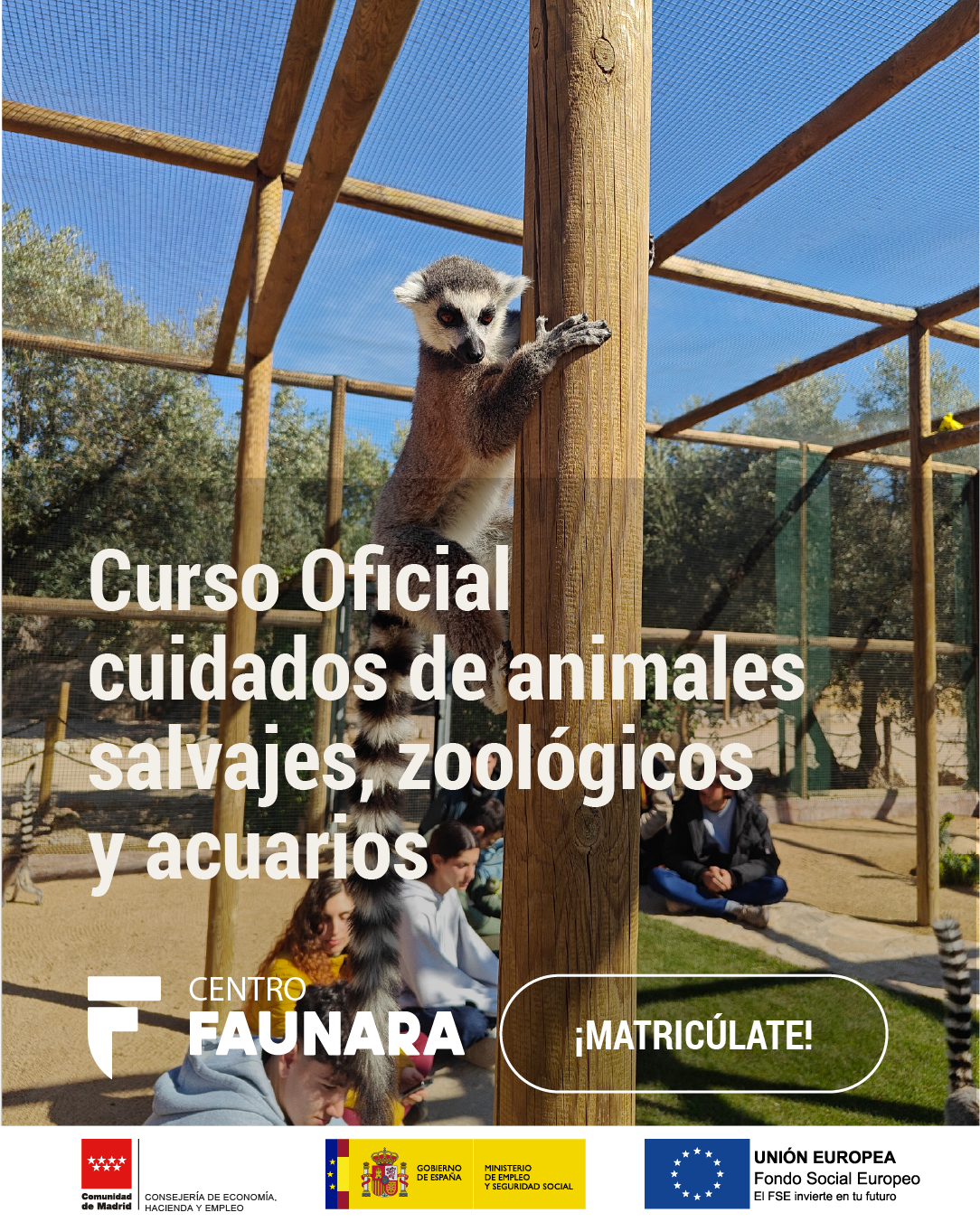 Faunayacción Animalesdecine Facebook ad from Aug 6, 2026