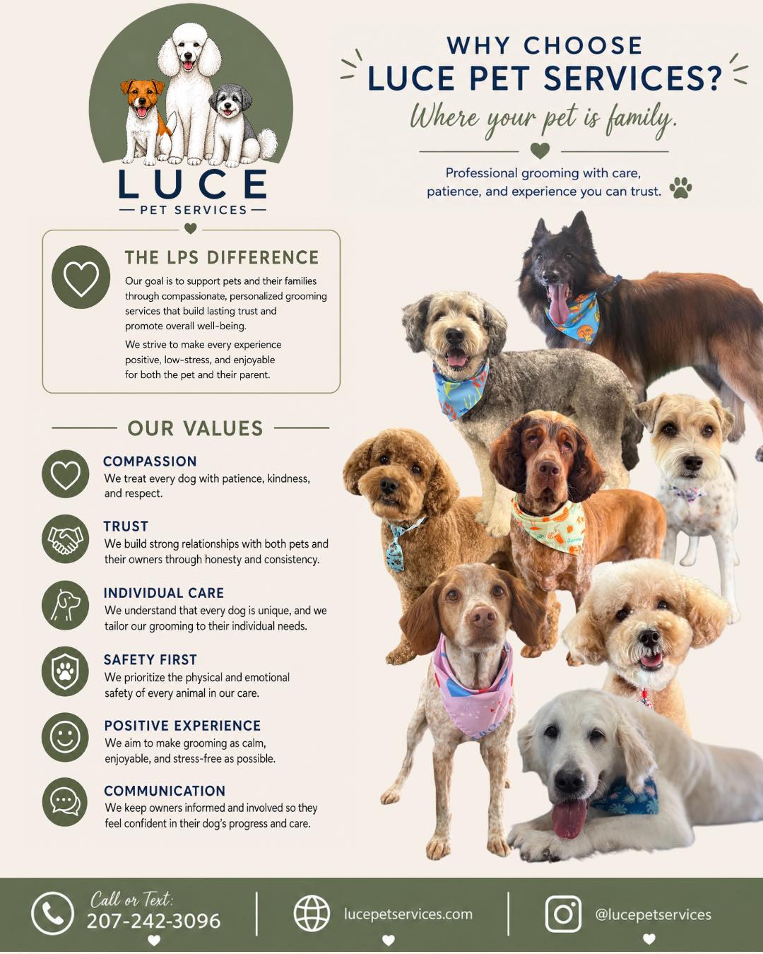 Luce Pet Services Facebook ad