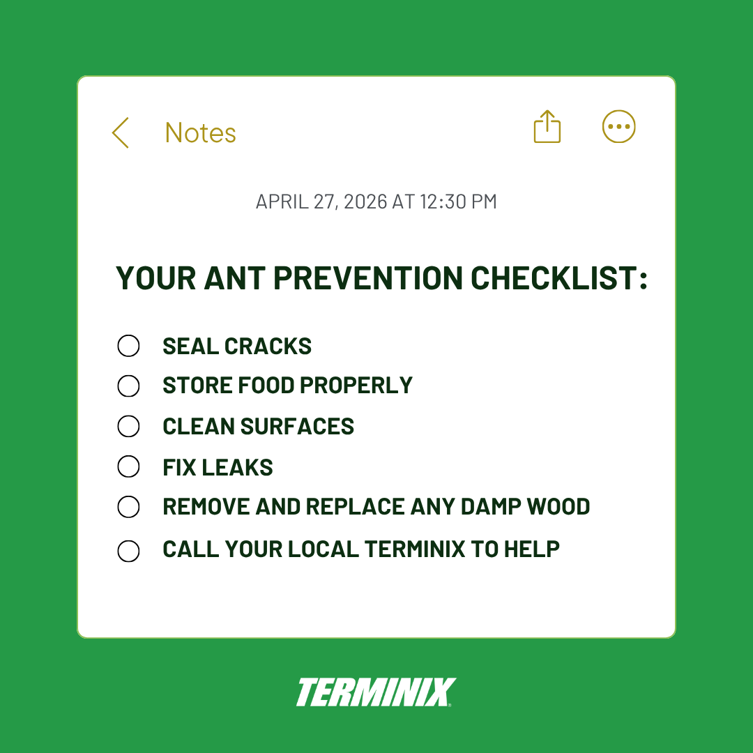 Terminix Service, Inc. Facebook ad