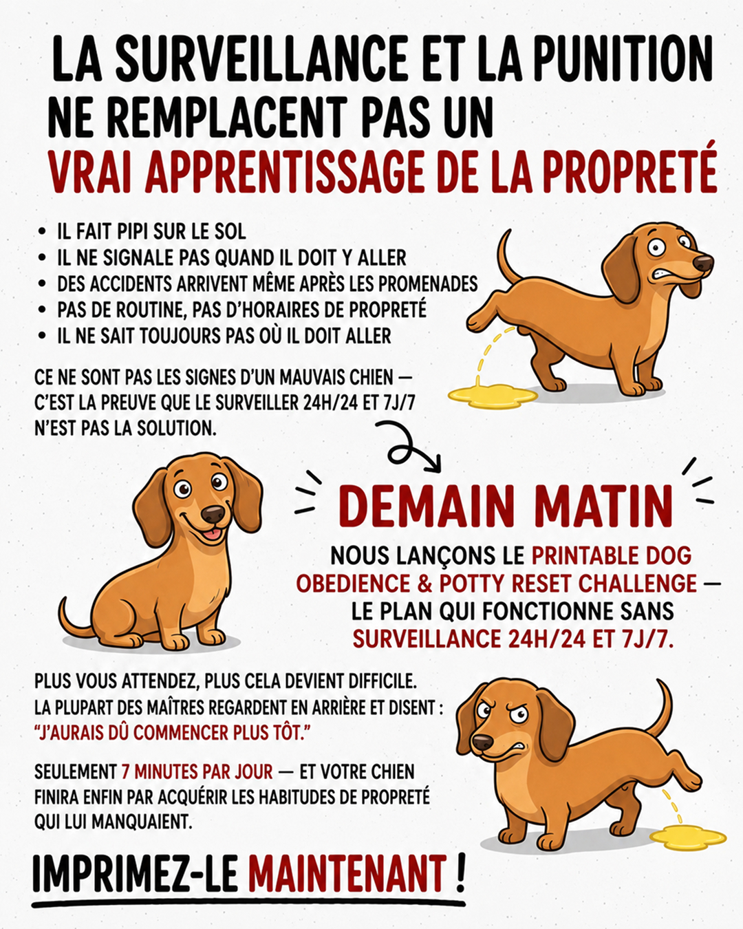 Ben Your Puppy Trainer Facebook ad