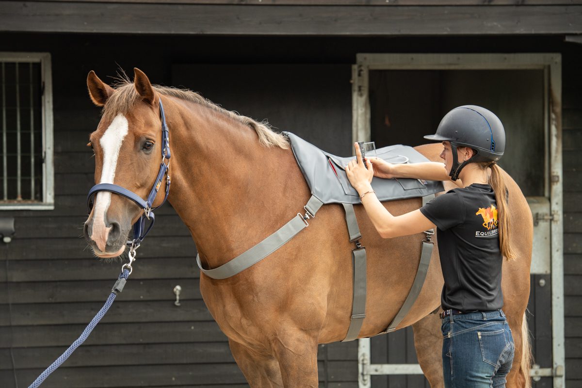 Plum Equestrian Facebook ad: Calling all Horse Riders - Lots of Competitions…
