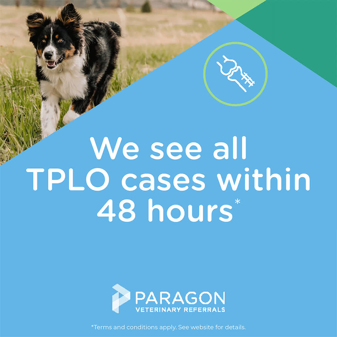 Paragon Veterinary Referrals Facebook ad: Learn more and refer