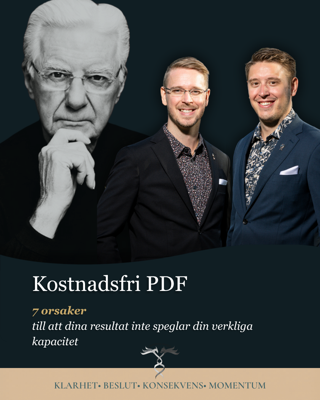 Momentum Energize Facebook ad: -> Ladda ner guiden kostnadsfritt här <-