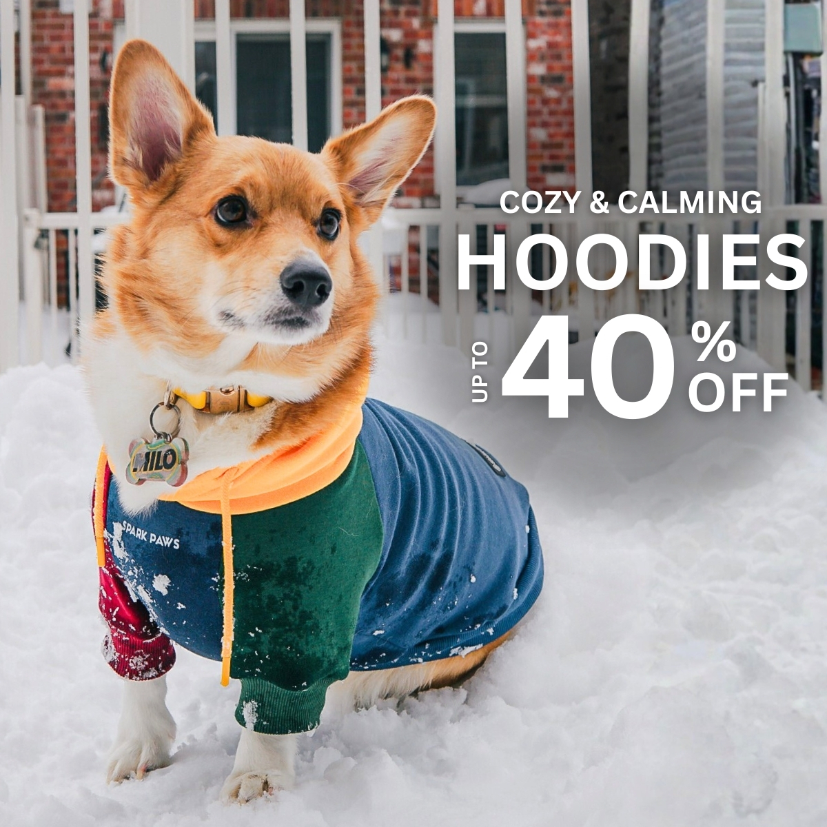 Spark Paws Facebook ad