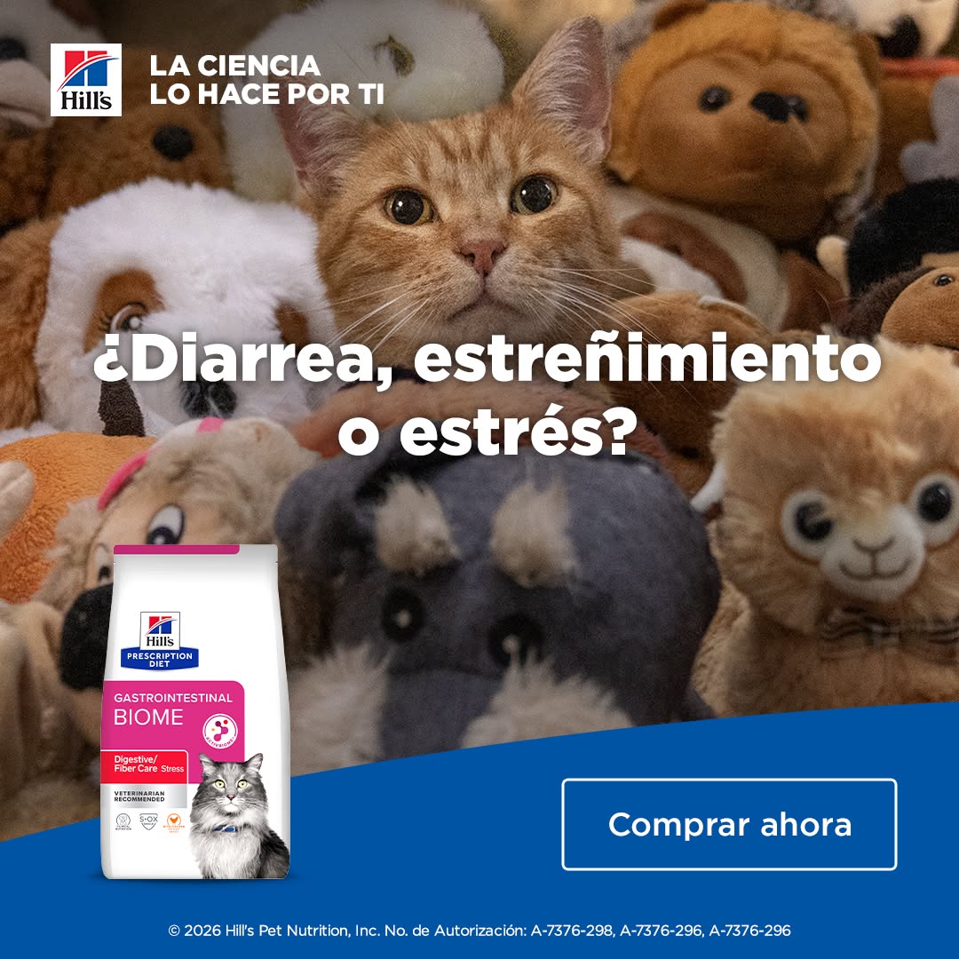 Hill’s Pet Nutrition Facebook ad