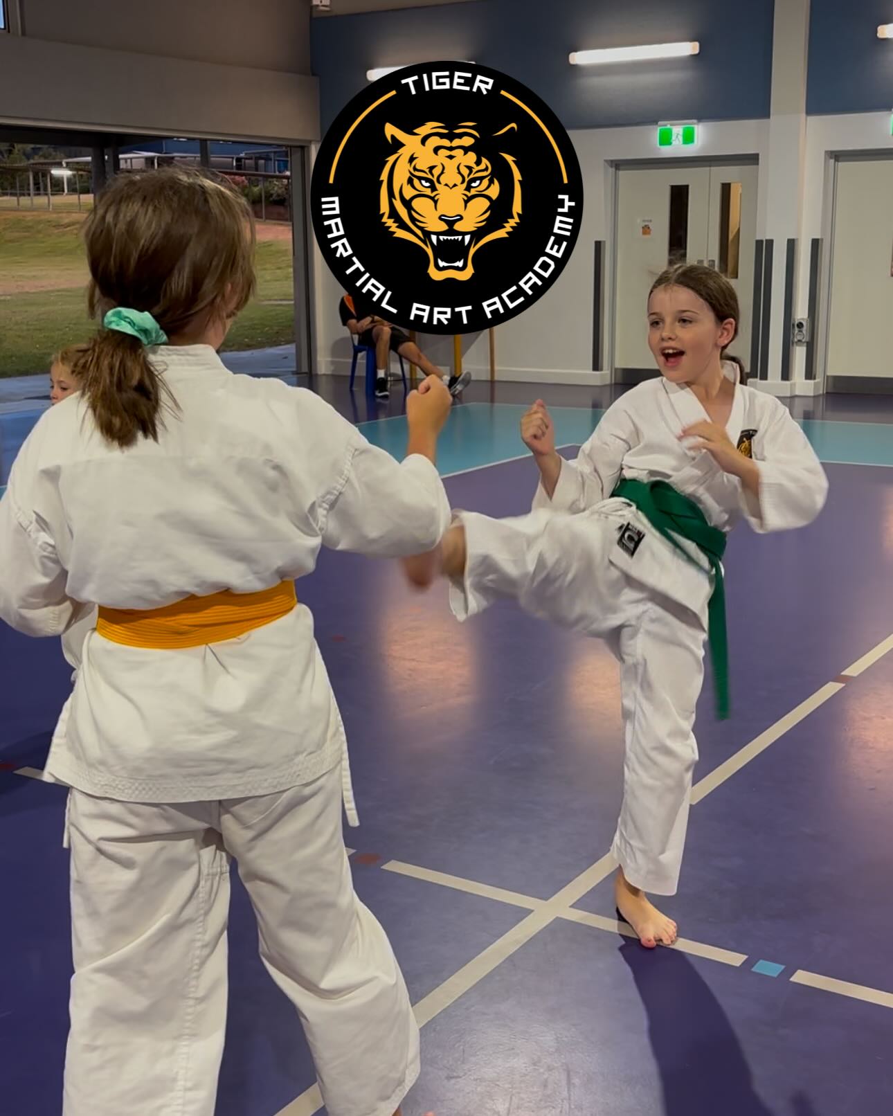 Tiger Martial Art Academy Facebook ad