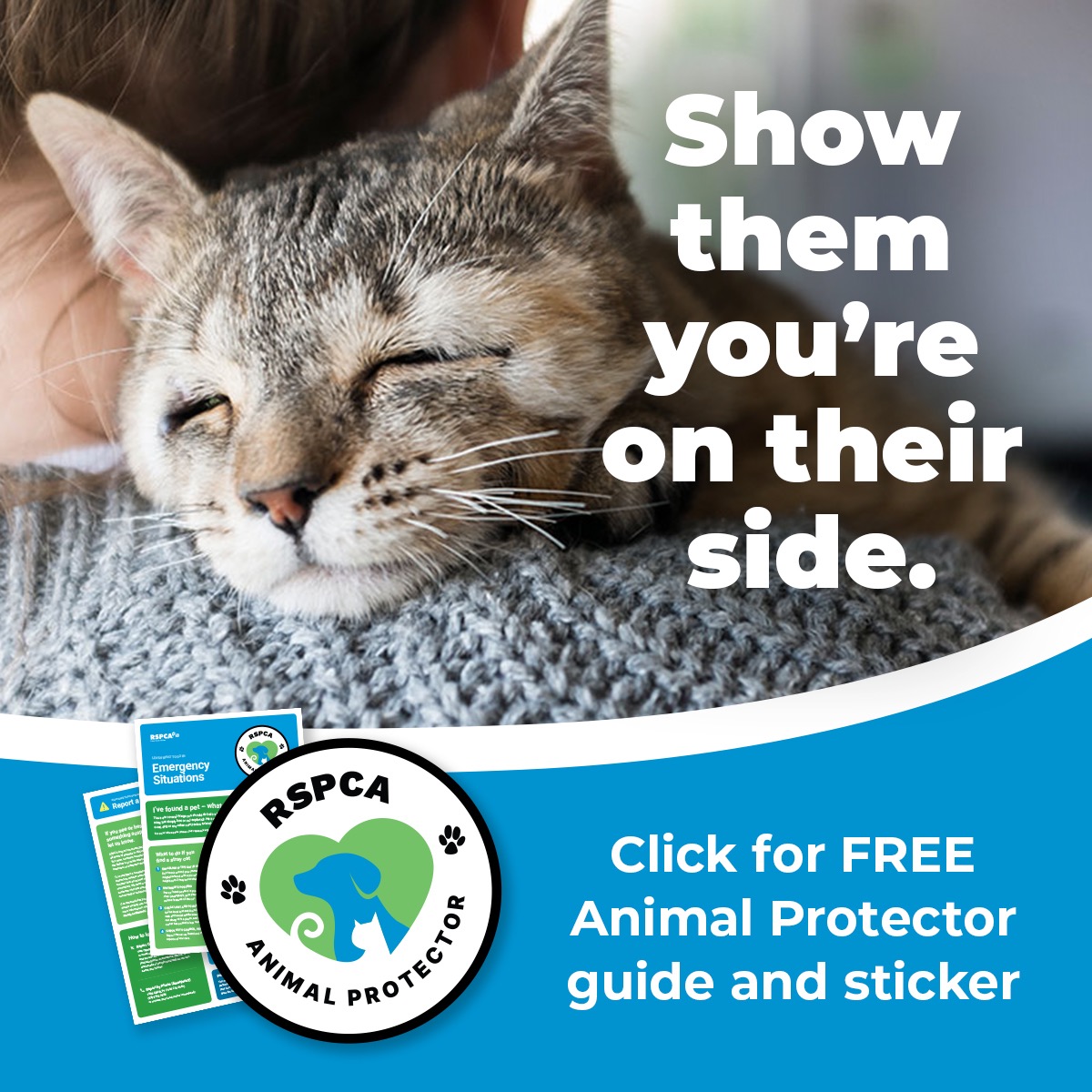RSPCA NSW Facebook ad
