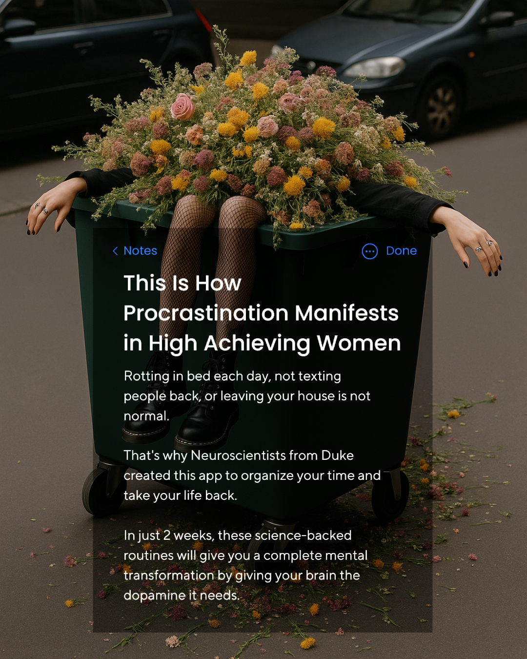 The Fabulous Facebook ad
