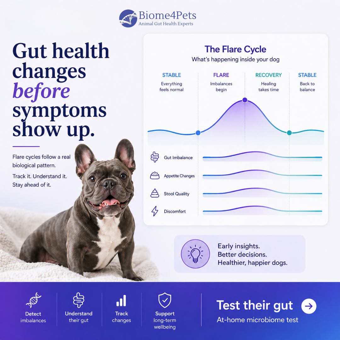 Biome4Pets Facebook ad