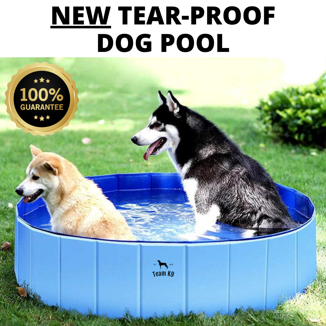 Team K9 Facebook ad