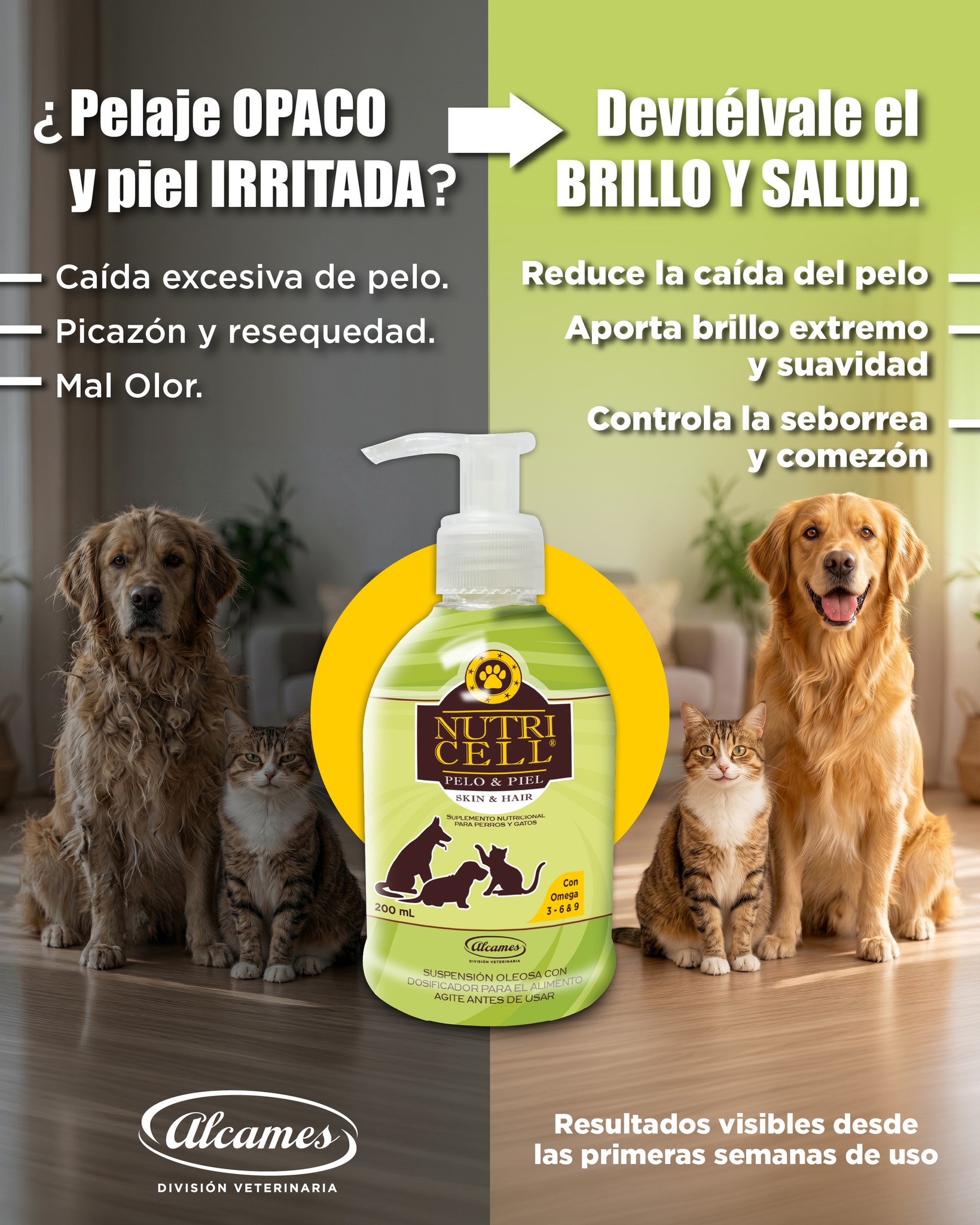 Alcames División Veterinaria Facebook ad: ¡El secreto para una mascota feliz y radiante!