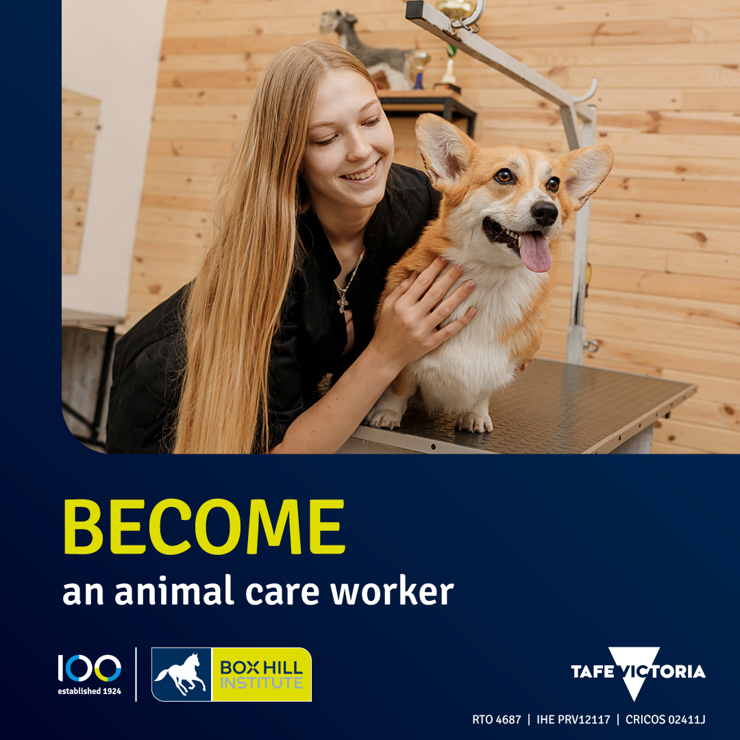 Box Hill Institute Facebook ad