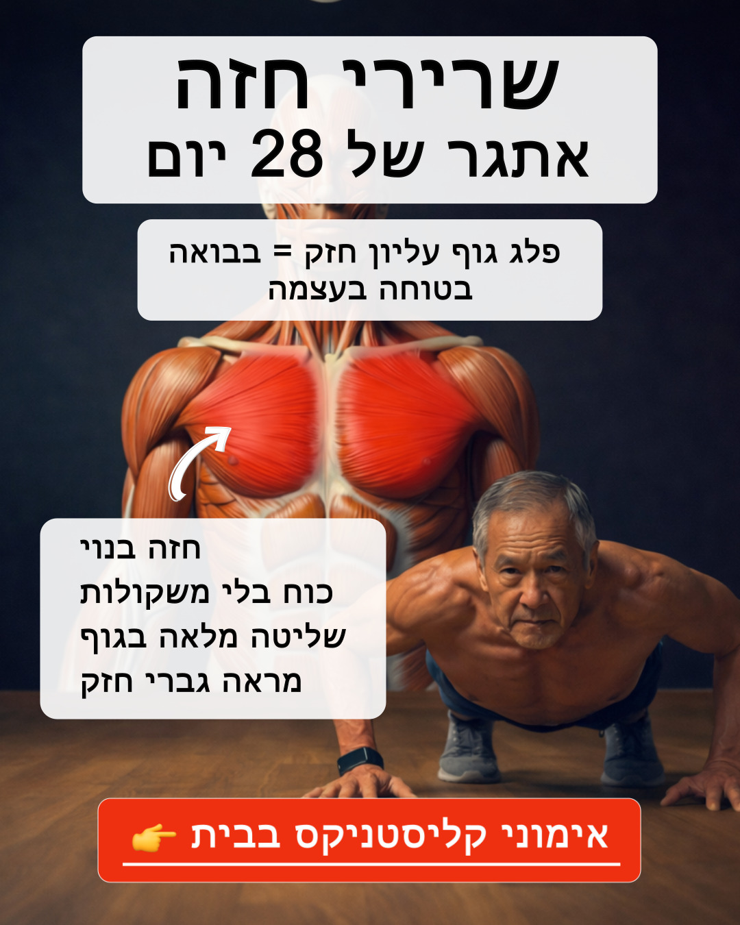 21 Day Calisthenics Challenge Facebook ad