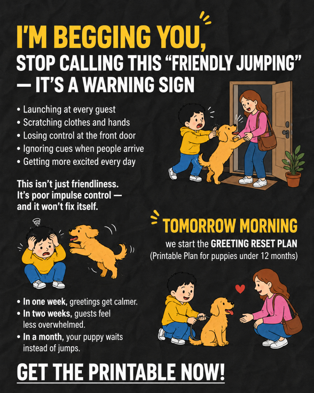 Ben Your Puppy Trainer Facebook ad