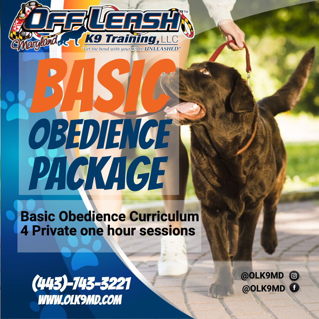 Off Leash K9 Training Maryland Facebook ad