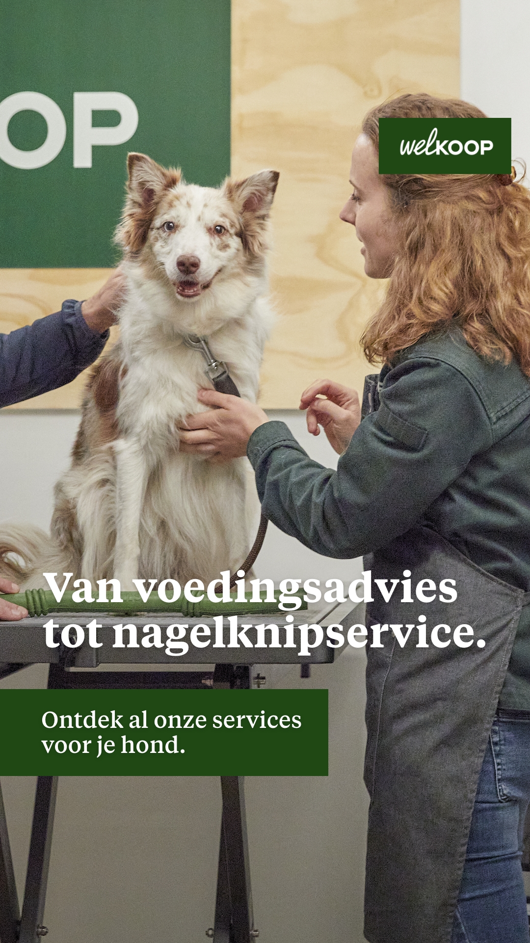 Welkoop Facebook ad