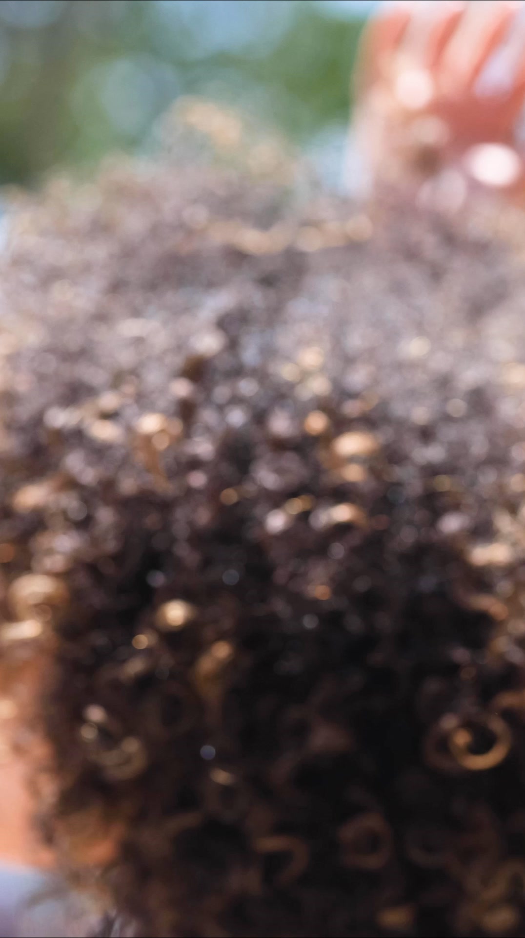 Curly Hair Salon Facebook ad: Maintain Your Curls for $75