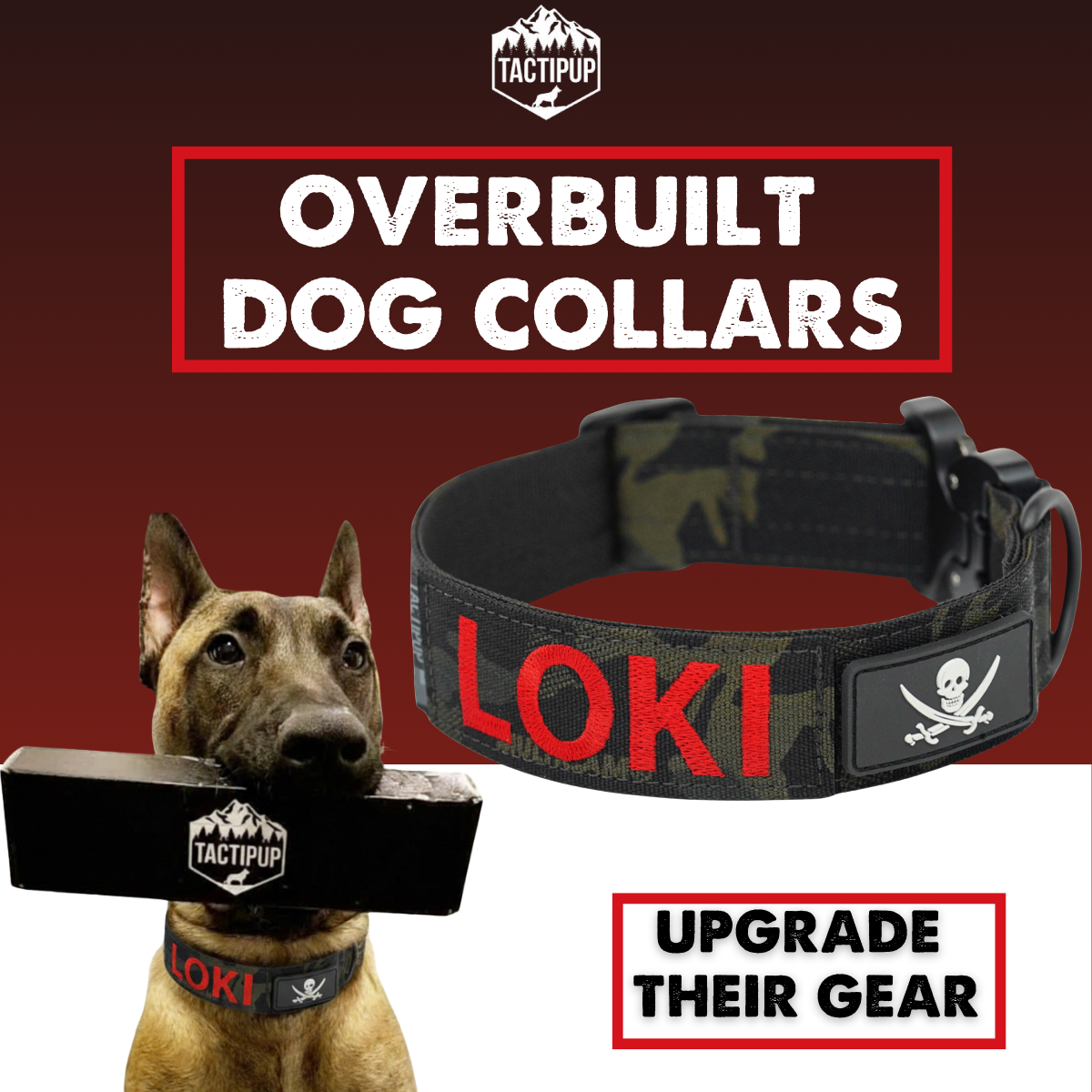 Tactipup Facebook ad