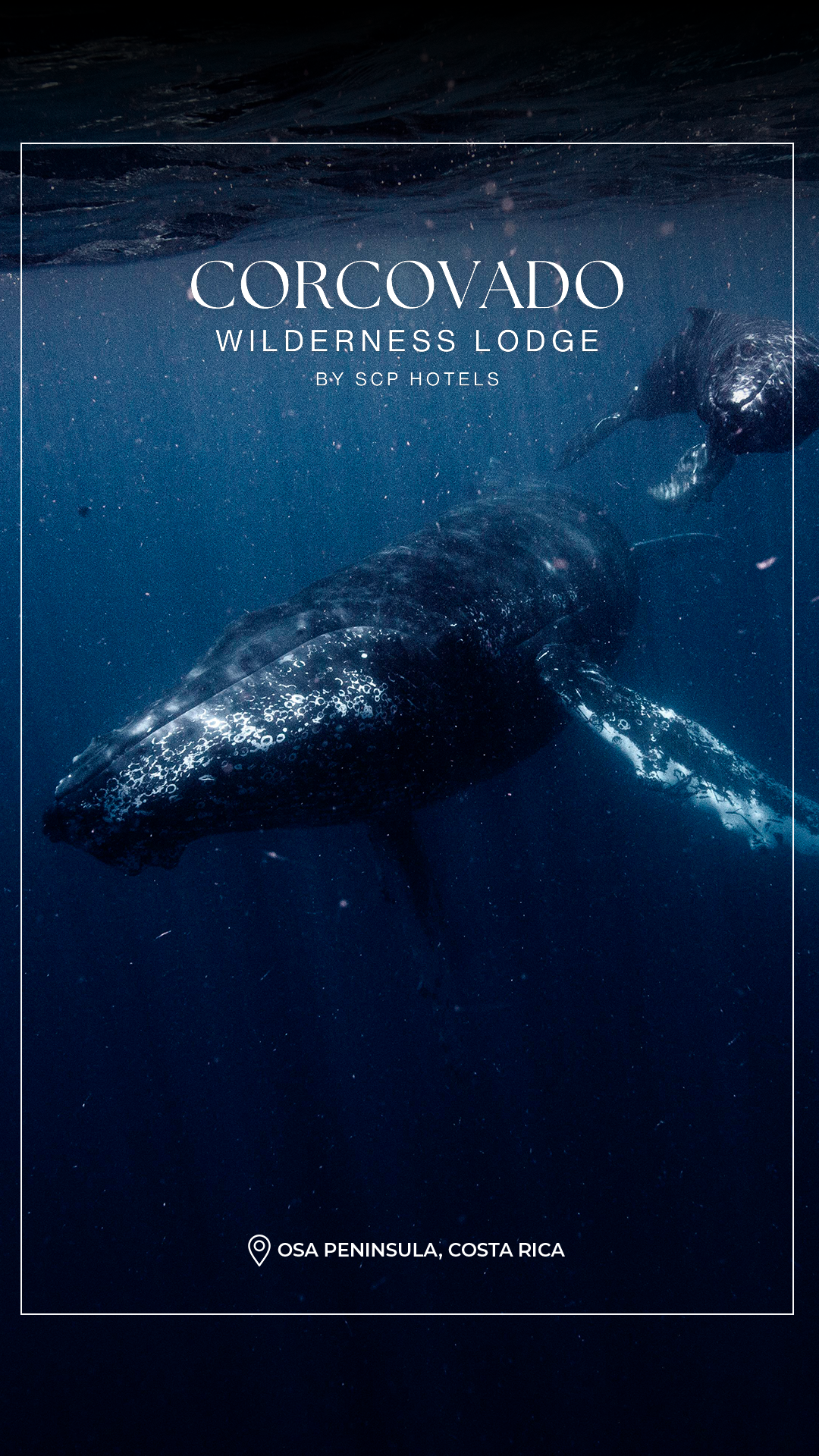 SCP Corcovado Wilderness Lodge Facebook ad
