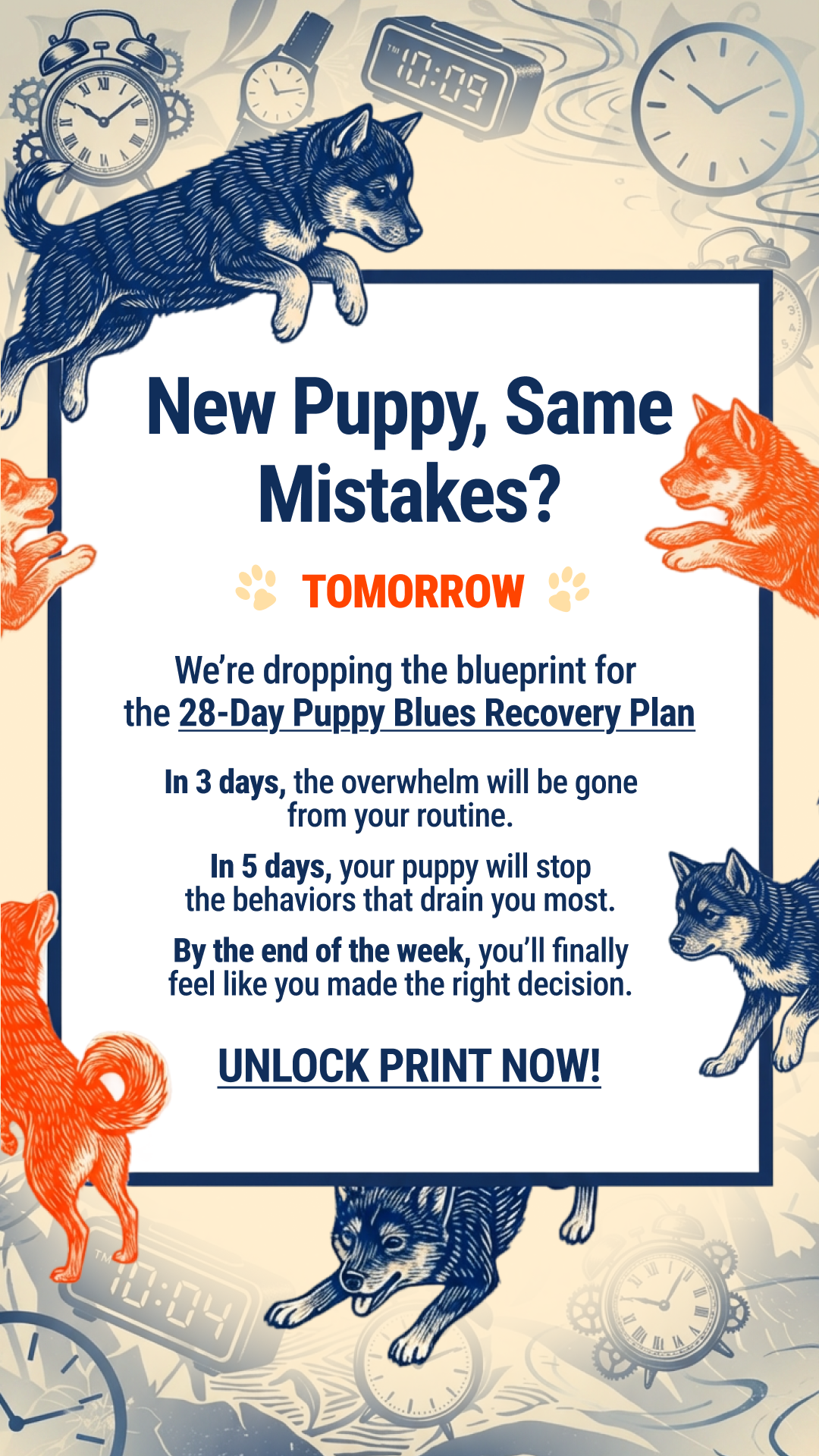 Woofz - Puppy Training Facebook ad