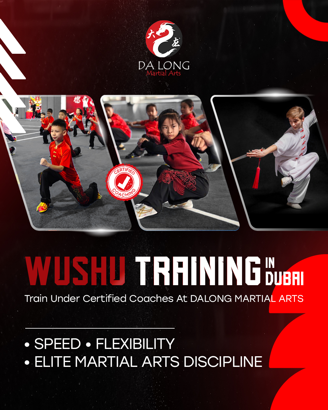 Dalong Martial Arts Facebook ad: Kids Wushu