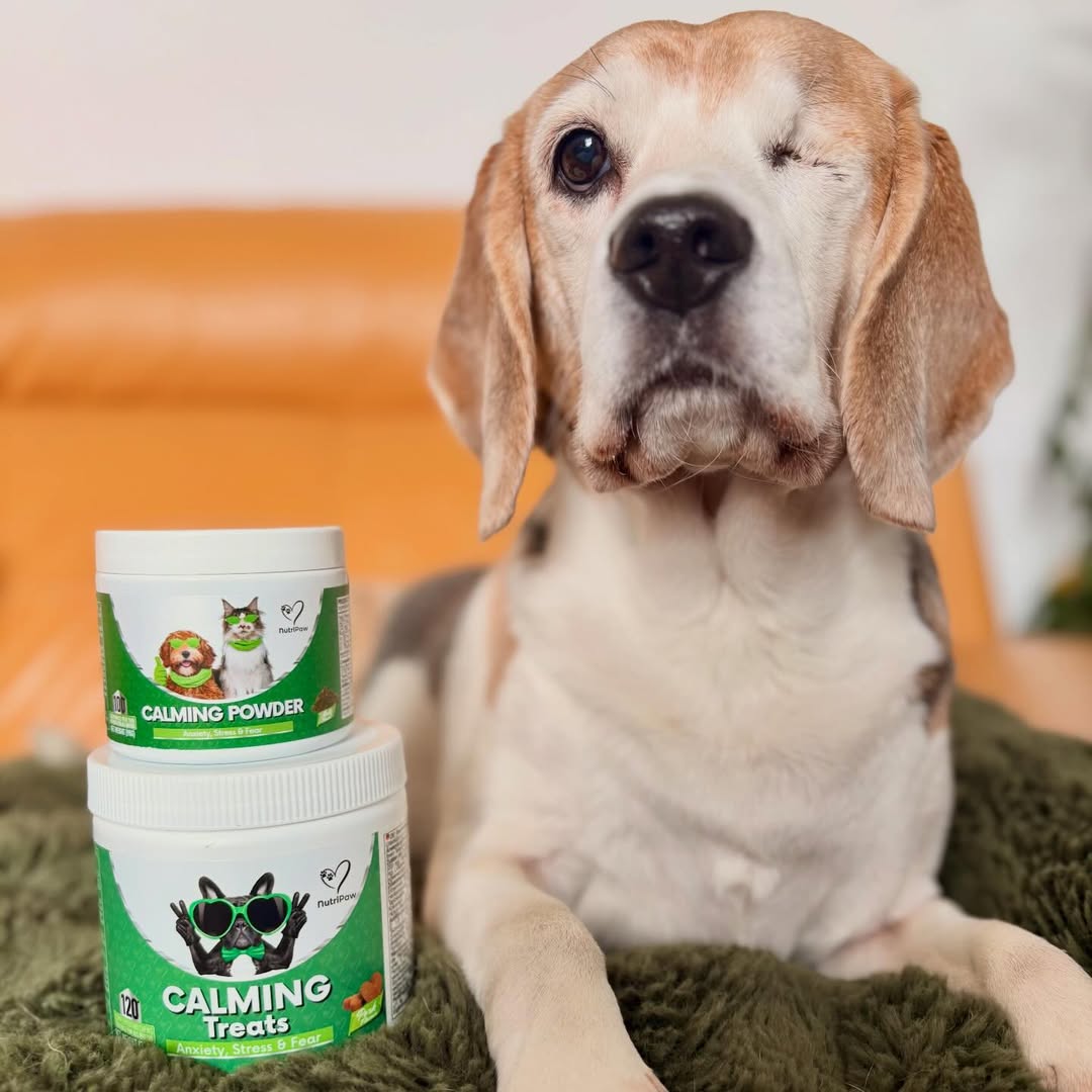 Nutri Paw Facebook ad