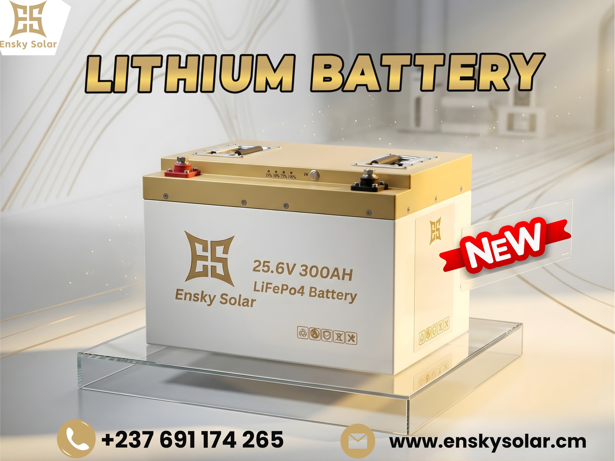 Ensky solar CM  Facebook ad