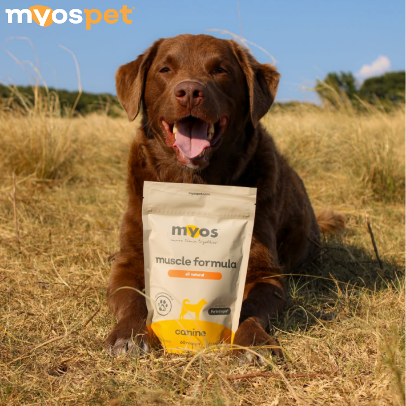 Myos Pet Products Facebook ad
