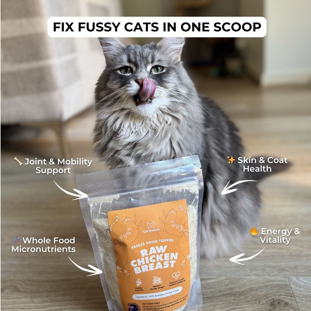 Cat Snacks Facebook ad