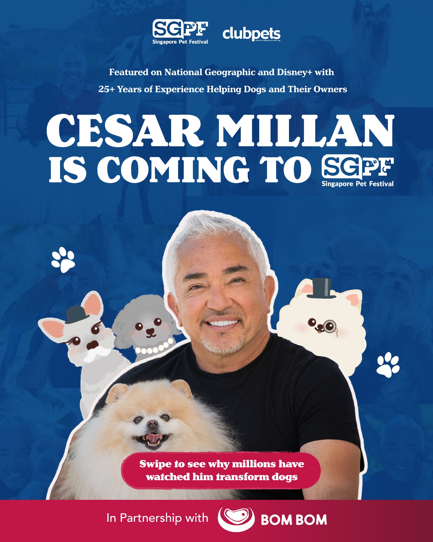 Clubpets Facebook ad: CESAR MILLAN IS COMING TO SINGAPORE?