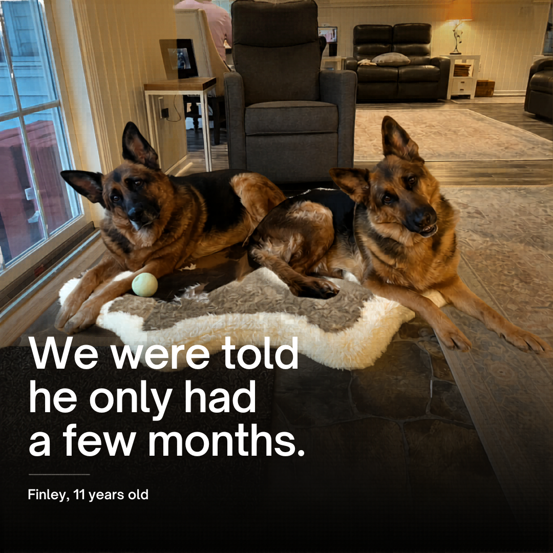 Pet Wellness Direct Facebook ad
