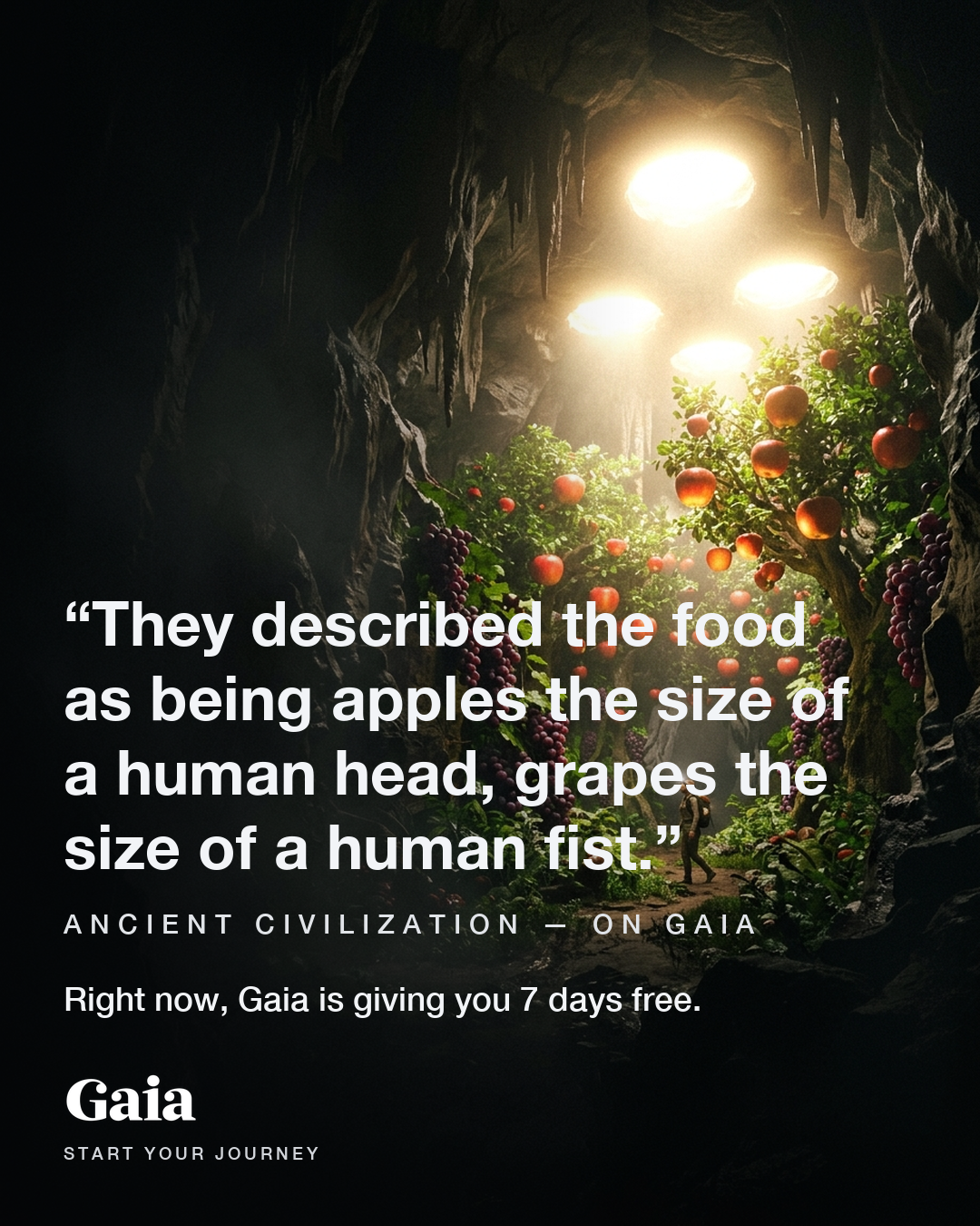 Gaia Facebook ad