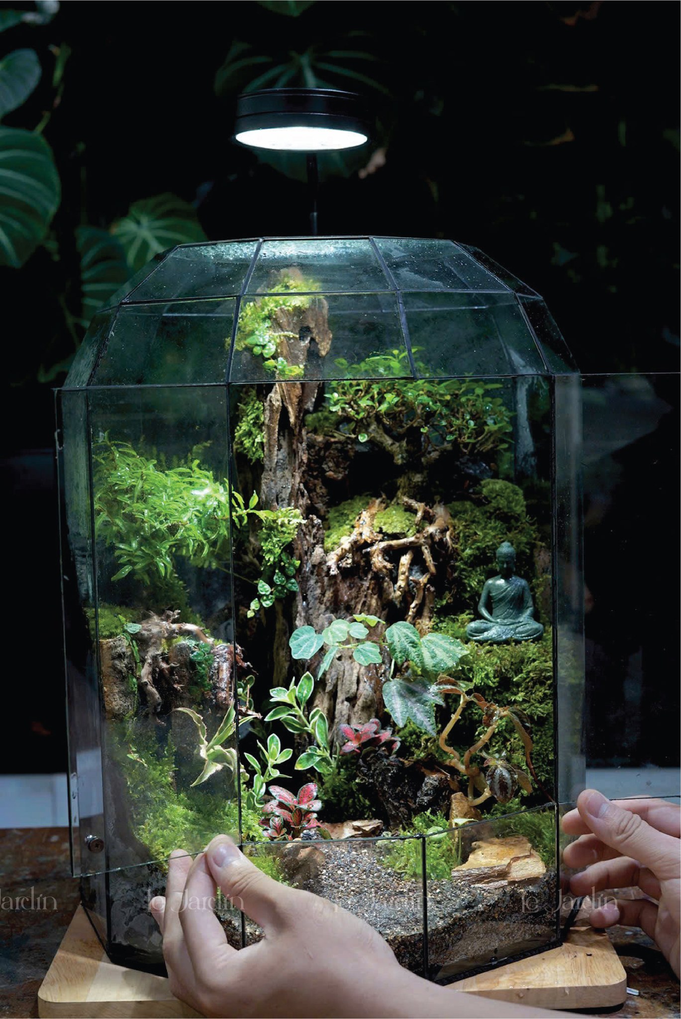 Terrarium Le Jardin Facebook ad: Bộ Sưu Tập Hơn 30 Mẫu Bình Terrarium…