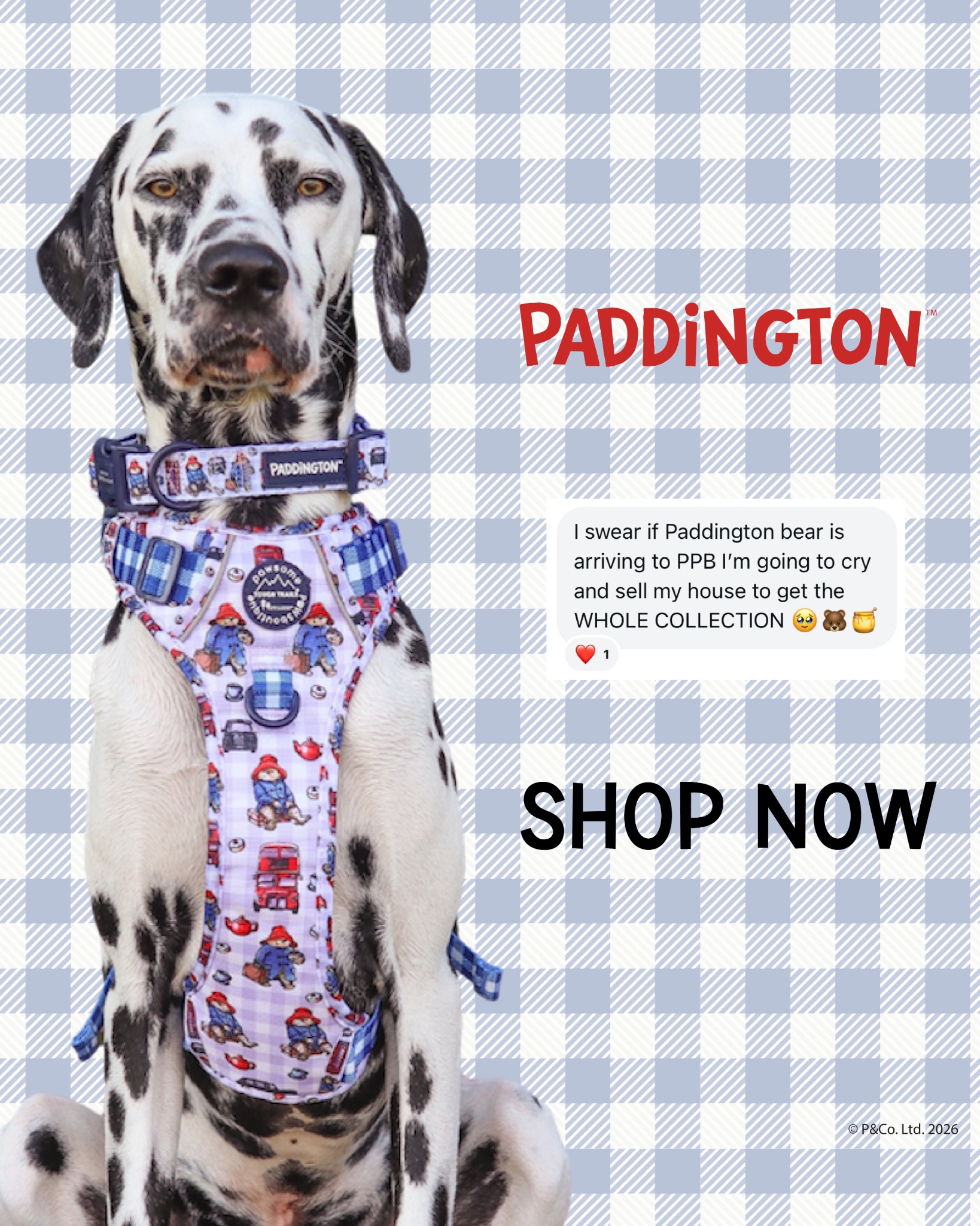 Pawsome Paws Boutique Facebook ad: Spoil them before it's gone.
