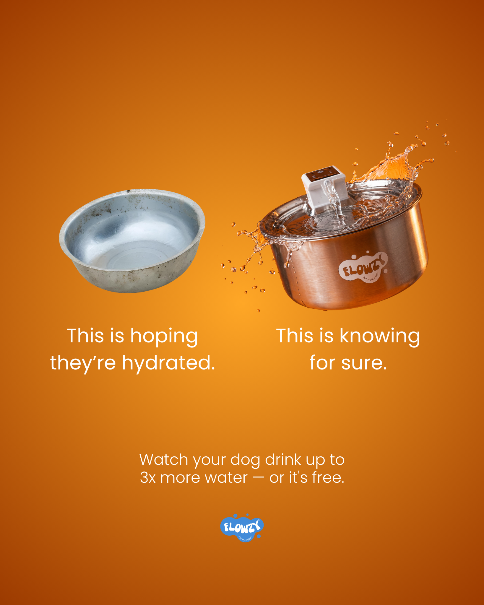 Flowzy Facebook ad