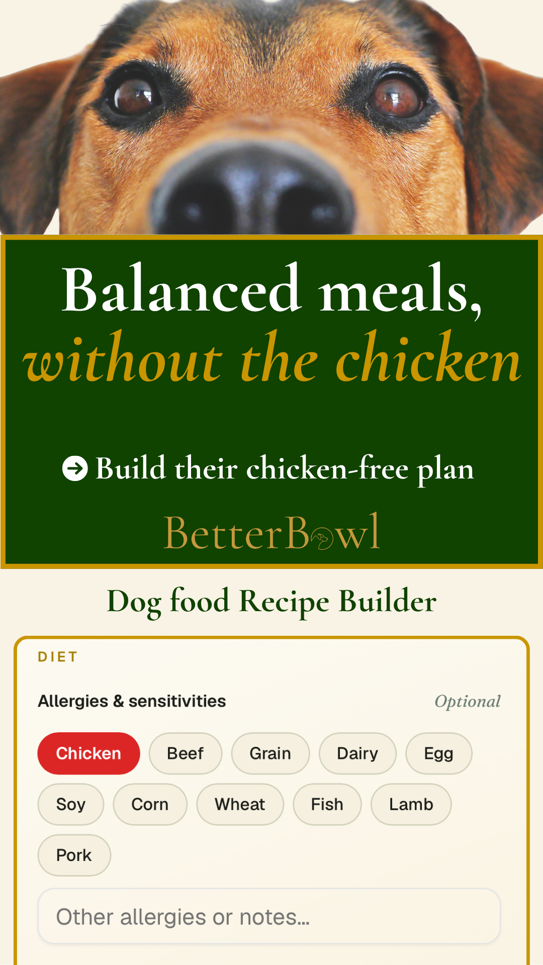 BetterBowl Facebook ad: Balanced, without the chicken