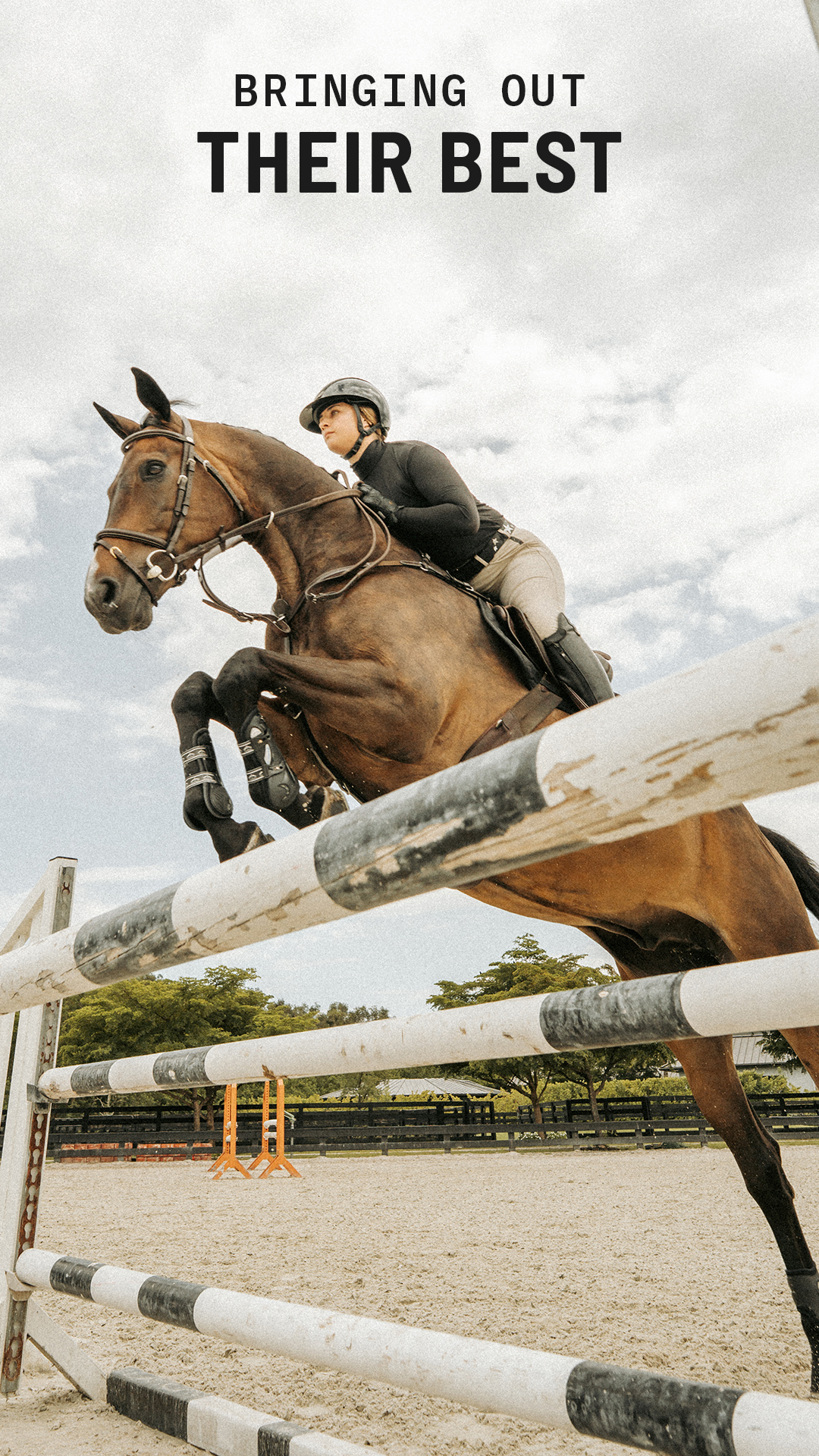 Purina Horse Facebook ad: You're at your best when your horse is…