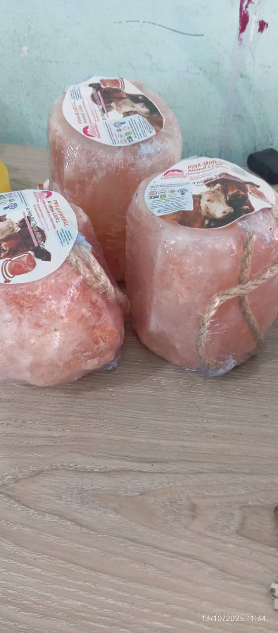 Tasafi Agro Tijarah Facebook ad: তাসাফি এগ্রো তিজারাহ, গরু, মুরগি ও মাছের সকল…