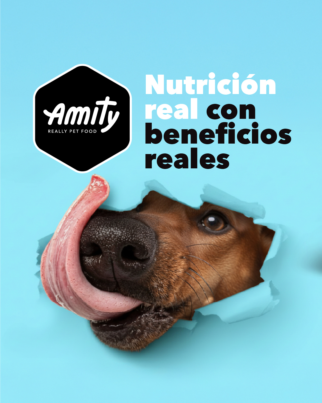Amity Pet Food CR Facebook ad from Mar 9, 2026