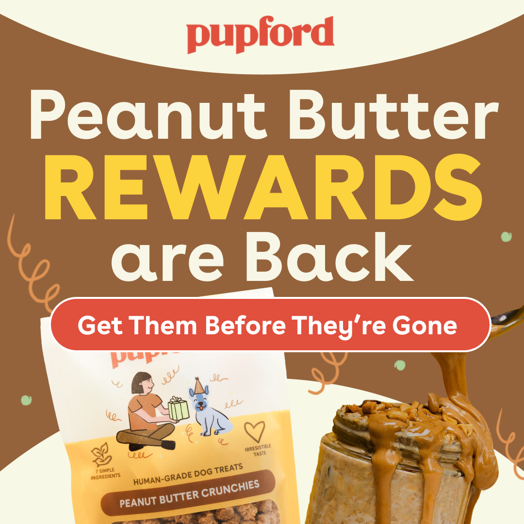 Pupford Facebook ad