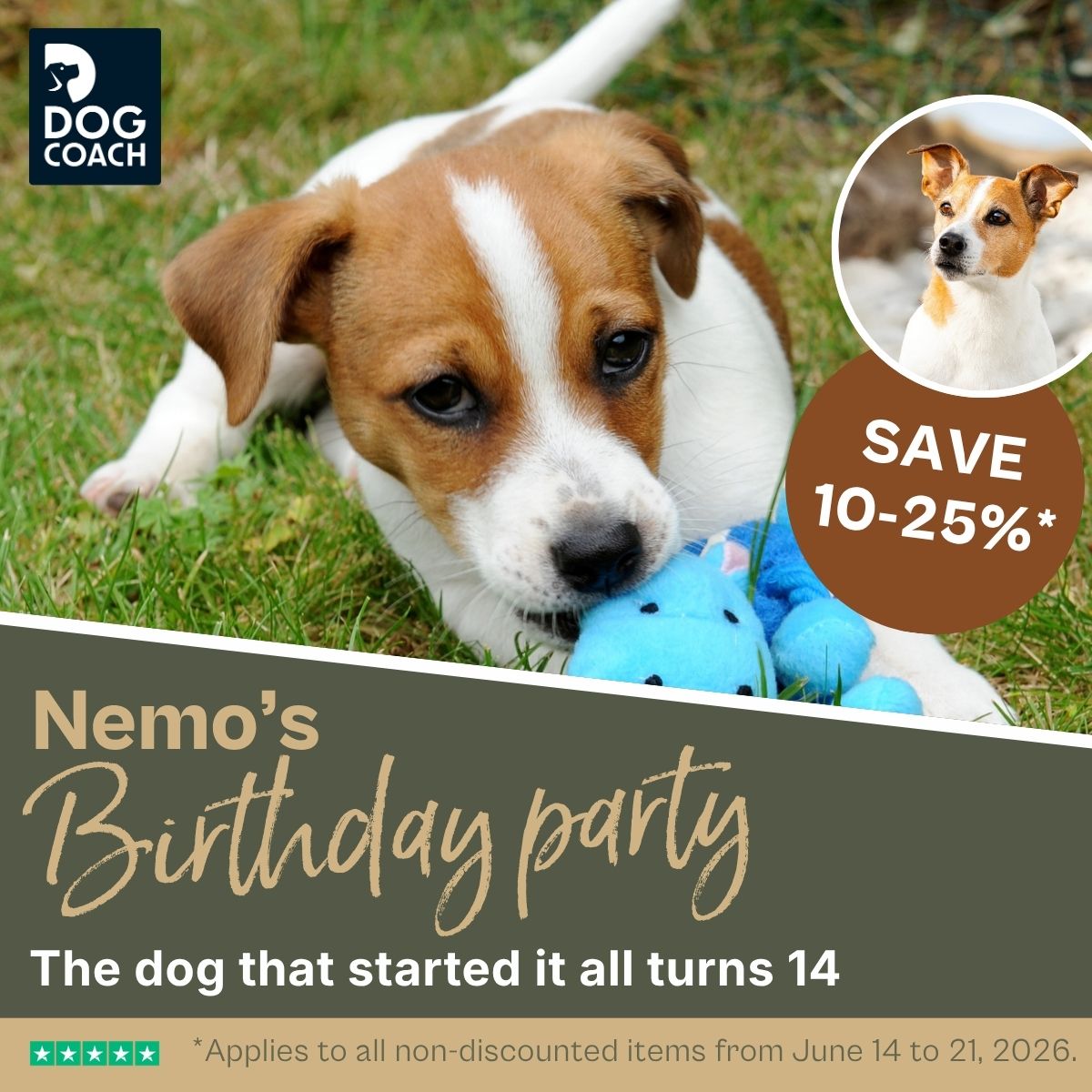 DogCoach Facebook ad